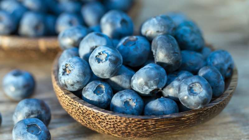 Health Benefits of Blueberries